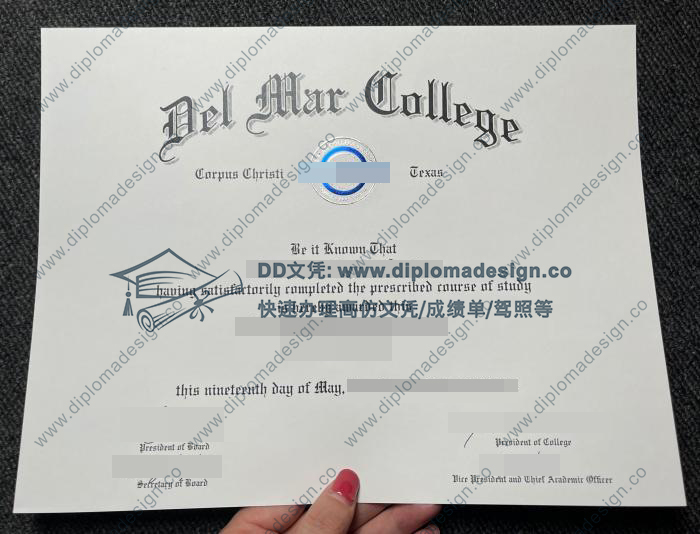 戴尔玛学院文凭