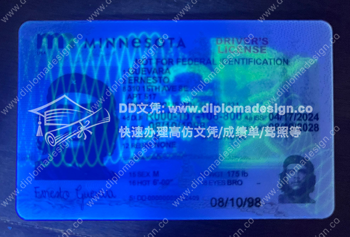 明尼苏达州驾照正面带荧光