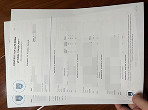开普敦大学成绩单-1