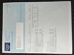 乔治布朗学院成绩单-1