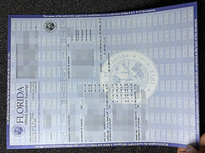 佛罗里达大学成绩单-1