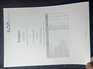巴特洪内夫国际应用技术大学成绩单-1