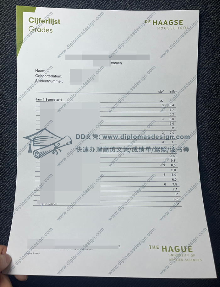 海牙应用科技大学成绩单