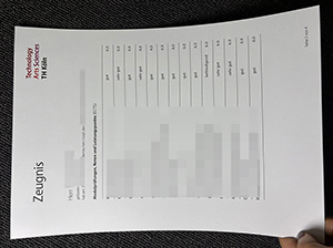 科隆工业大学成绩单-1