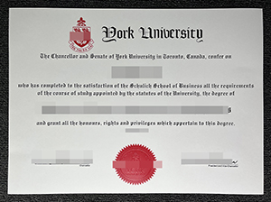 约克大学文凭-1