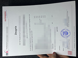 美因茨大学成绩单-1