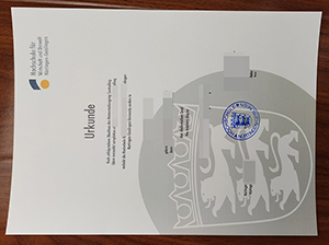 尼尔廷根应用技术大学文凭-1