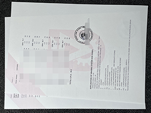 以色列理工学院成绩单-1
