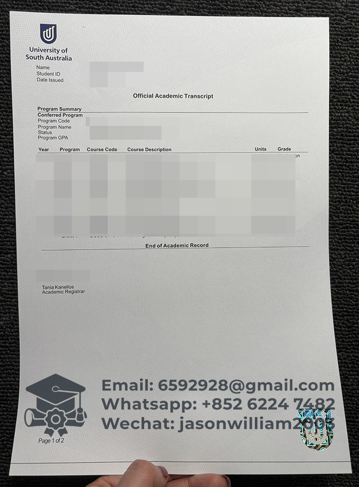 南澳大学成绩单