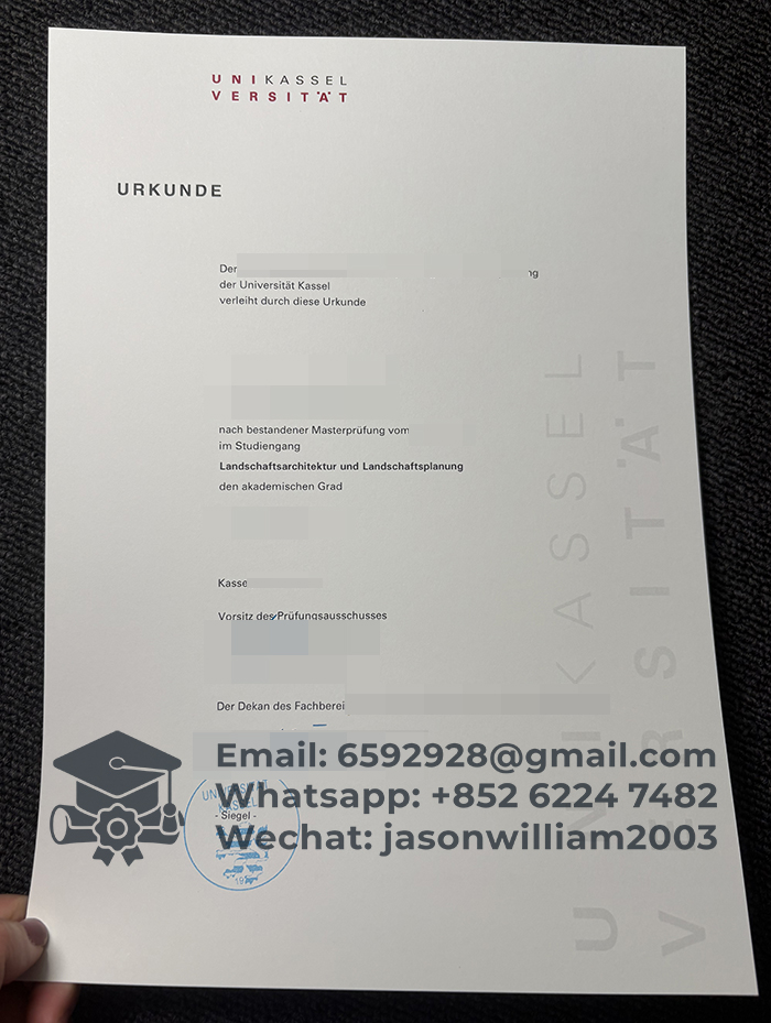 卡塞尔大学文凭