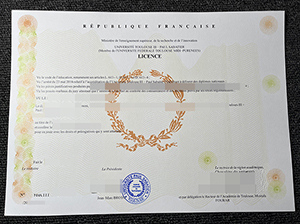 图卢兹第三大学毕业证-1