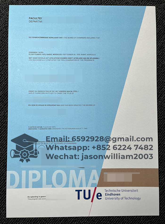 埃因霍芬理工大学文凭