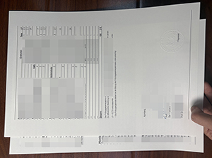 纽伦堡乔治·西蒙·欧姆应用技术大学成绩单-1