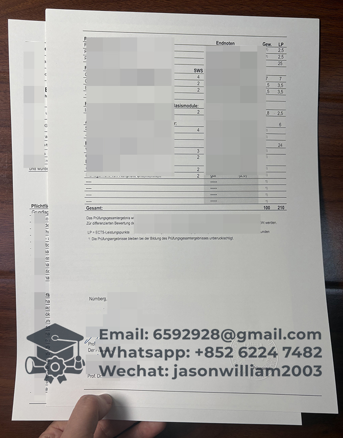 纽伦堡乔治·西蒙·欧姆应用技术大学成绩单