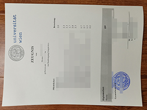 维也纳大学成绩单-1