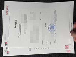 美因茨大学成绩单-1