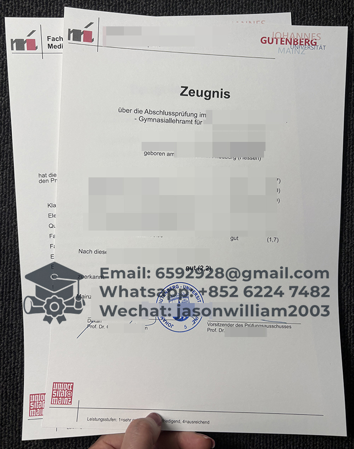 美因茨大学成绩单