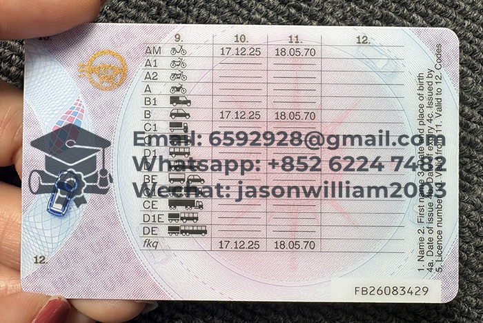 英国驾驶执照背面
