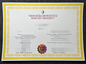 近东大学文凭-1