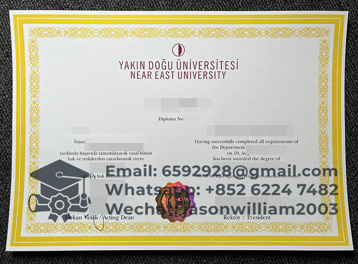 近东大学文凭