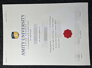 阿米提大学文凭-1