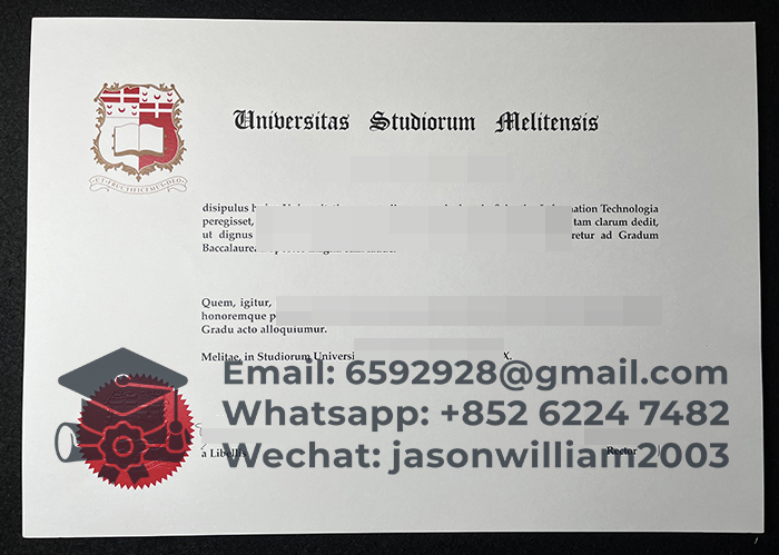 马耳他大学文凭