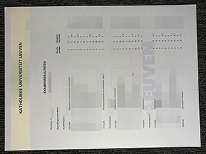 鲁汶大学成绩单-1