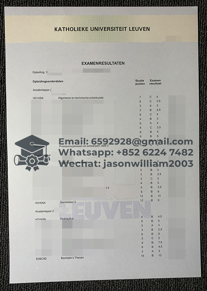 鲁汶大学成绩单