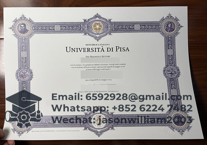 比萨大学毕业证