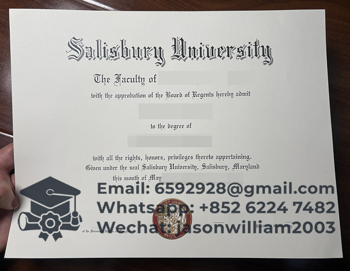 索尔兹伯里大学毕业证
