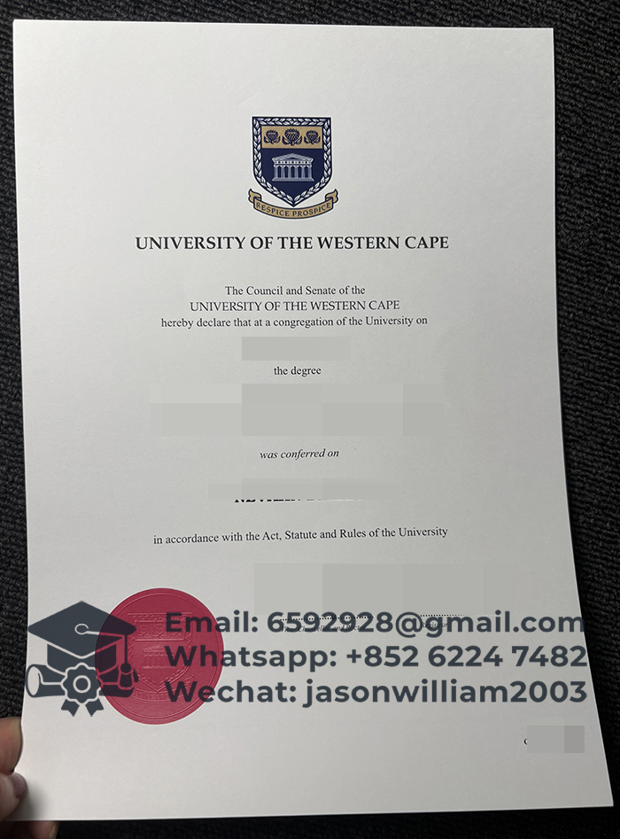 西开普大学文凭
